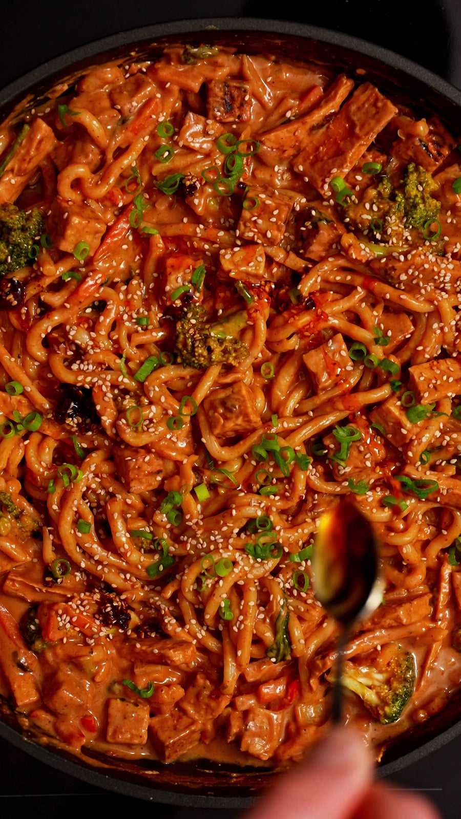 Vegan High Protein Crispy Chili Peanut Udon One-Pot